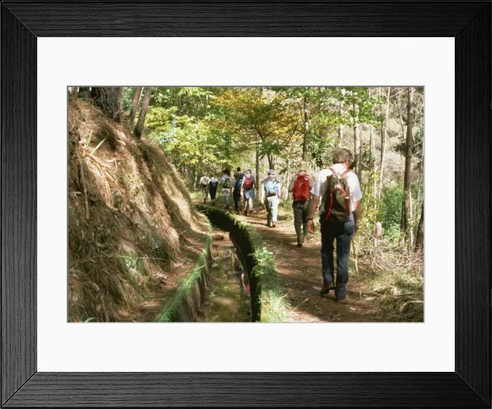 Framed Print : Tourists walking between Ribeira Brava and Estreito Framed Print : Tourists walking between Ribeira Brava and Estreito