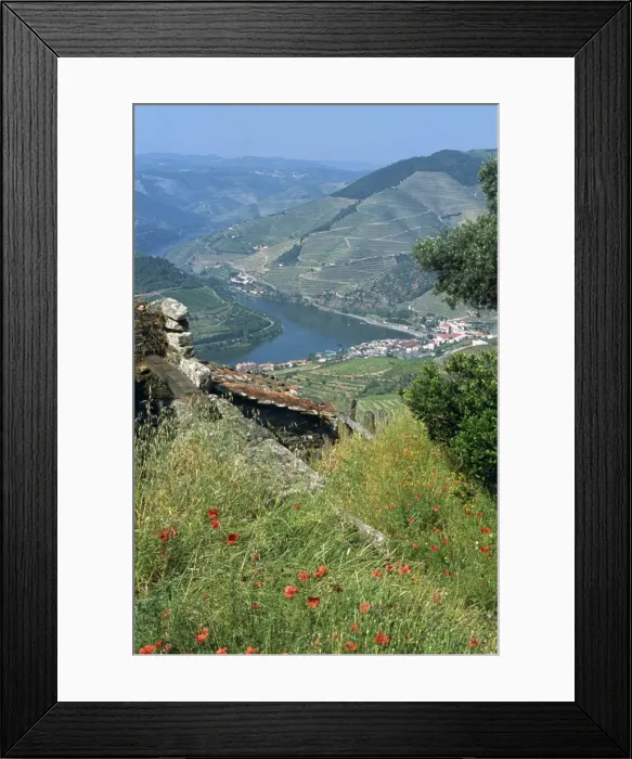 Framed Print : Landscape near Pinhao Framed Print : Landscape near Pinhao