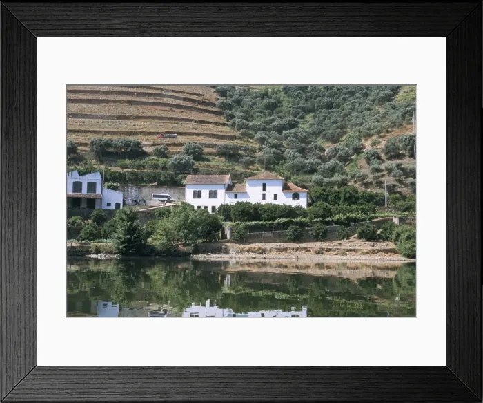 Framed Print : Vineyards near Pinhao