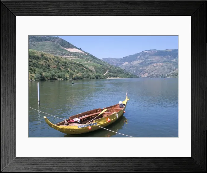 Framed Print : Vineyards near Pinhao Framed Print : Vineyards near Pinhao