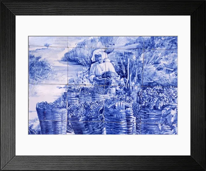 Framed Print : Pinhao railway station