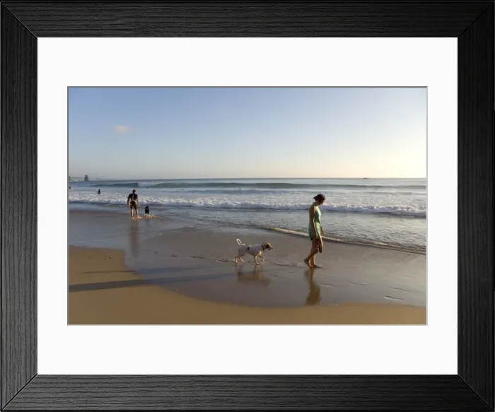 Framed Print : A young woman walks her dog at Arrifana beach Framed Print : A young woman walks her dog at Arrifana beach