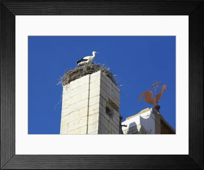 Framed Print : Stork sitting on nest on the top of Faro Cathedral Framed Print : Stork sitting on nest on the top of Faro Cathedral