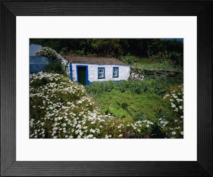 Framed Print : Single storey cottage and garden Framed Print : Single storey cottage and garden