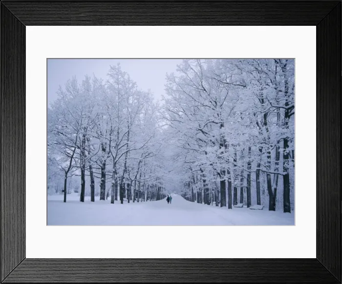 Framed Print : Catherines Park in February, Tsarske Seloe (Puskin), St Framed Print : Catherines Park in February, Tsarske Seloe (Puskin), St