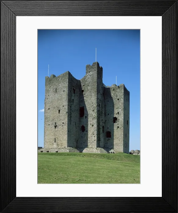 Framed Print : Trim castle Framed Print : Trim castle