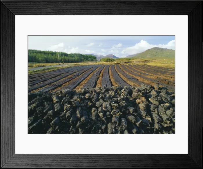 Framed Print : Peat farming or cutting Framed Print : Peat farming or cutting