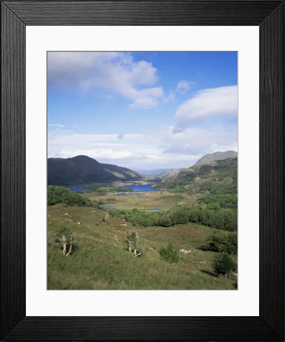 Framed Print : Ladies View Framed Print : Ladies View