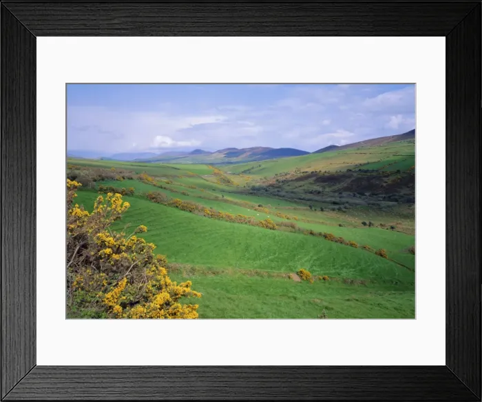Framed Print : Fields near Dingle, Co Framed Print : Fields near Dingle, Co
