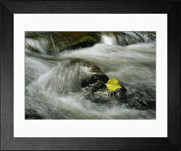 Framed Print : Water rushing over rocks and a single leaf in a river in Killarney Framed Print : Water rushing over rocks and a single leaf in a river in Killarney