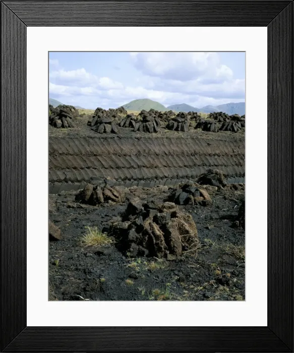 Framed Print : Peat stacks Framed Print : Peat stacks