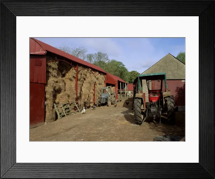 Framed Print : A farm, near Avoca Framed Print : A farm, near Avoca