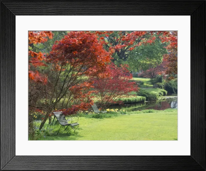 Framed Print : Mount Ushmore Gardens