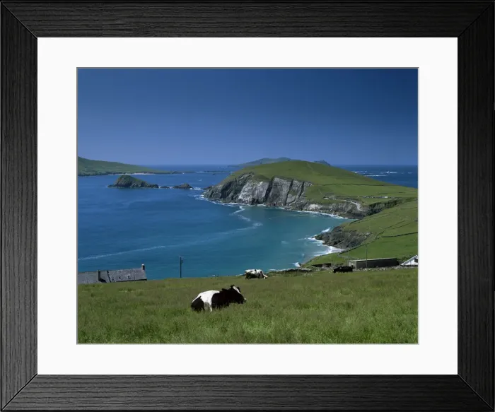 Framed Print : County Kerry Framed Print : County Kerry