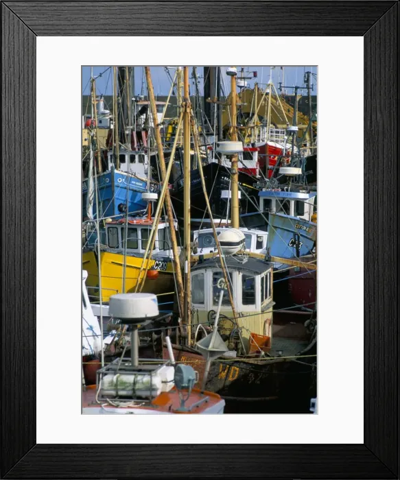Framed Print : Fishing port, Kilmore Quay, County Wexford, Leinster, Eire (Ireland), Europe Framed Print : Fishing port, Kilmore Quay, County Wexford, Leinster, Eire (Ireland), Europe