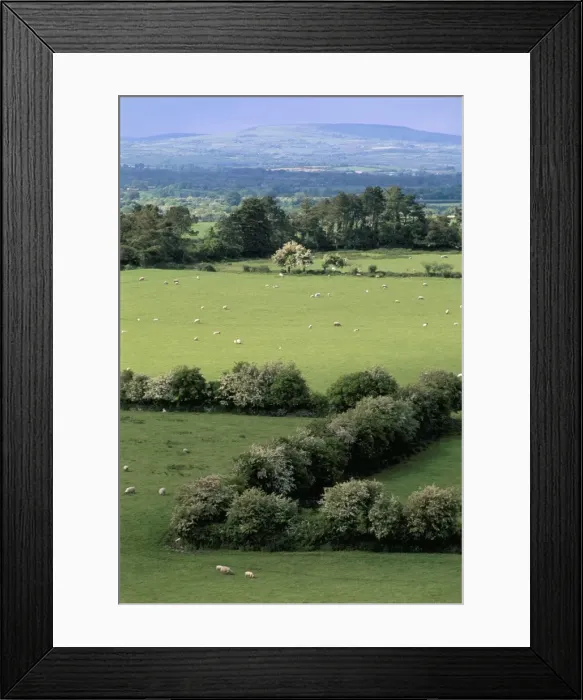 Framed Print : View from Rock of Cashel Framed Print : View from Rock of Cashel
