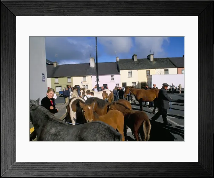 Framed Print : Horse and foal fair Framed Print : Horse and foal fair