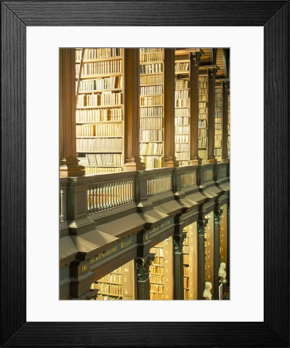Framed Print : Gallery of the Old Library Framed Print : Gallery of the Old Library