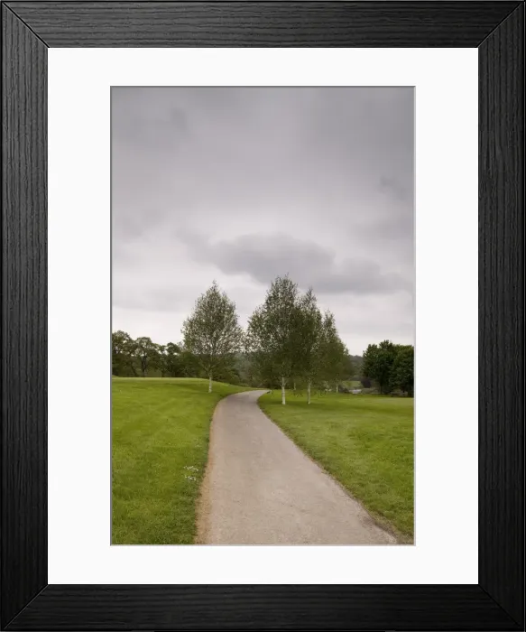 Framed Print : Mount Juliet Estate Framed Print : Mount Juliet Estate