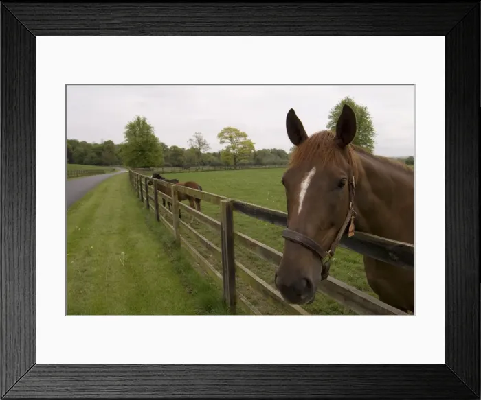 Framed Print : County Kilkenny Framed Print : County Kilkenny