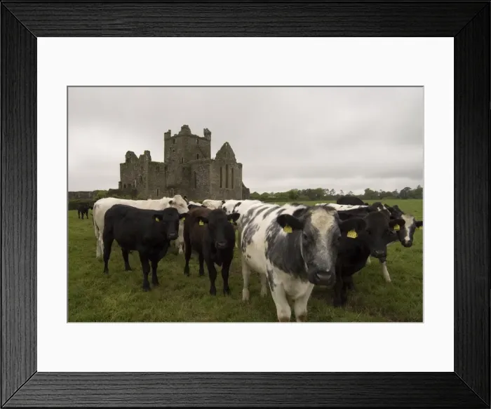 Framed Print : Dunbrody Abbey, Dumbrody, County Wexford, Leinster, Republic of Ireland (Eire), Europe Framed Print : Dunbrody Abbey, Dumbrody, County Wexford, Leinster, Republic of Ireland (Eire), Europe