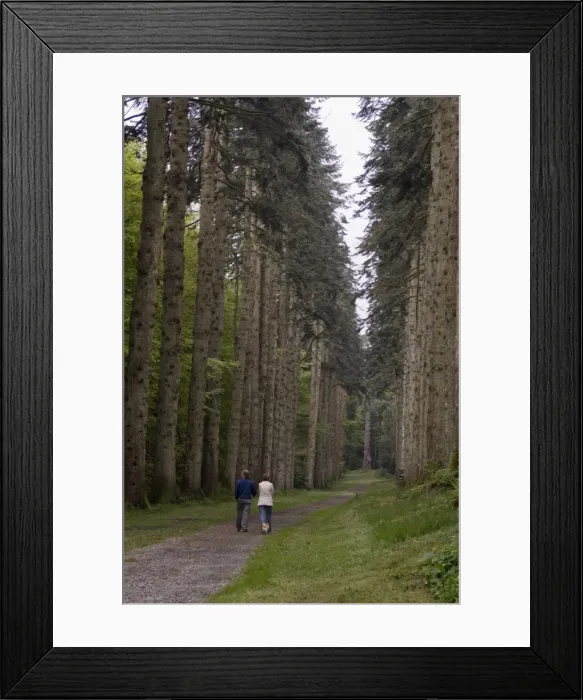 Framed Print : Woodstock Gardens and Arboretum Framed Print : Woodstock Gardens and Arboretum