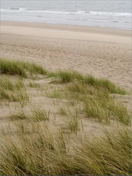 Curracloe beach, County Wexford, Leinster, Republic of Ireland (Eire), Europe