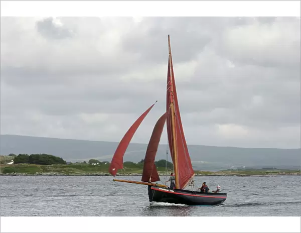 Galway hookers at Roundstone Regatta
