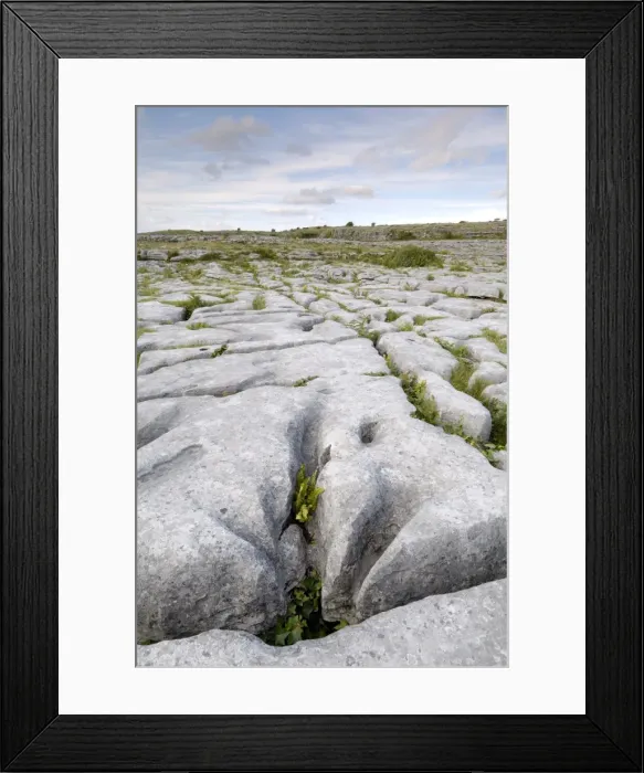 Framed Print : Limestone pavement Framed Print : Limestone pavement