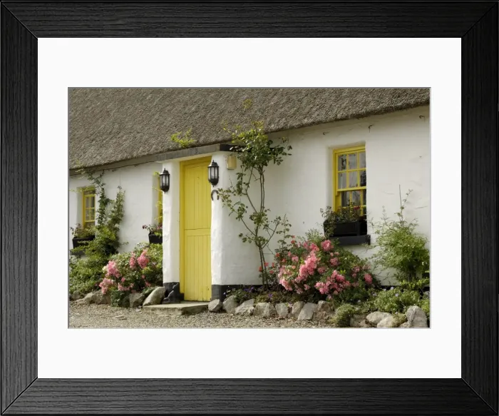 Framed Print : Thatched cottages Framed Print : Thatched cottages