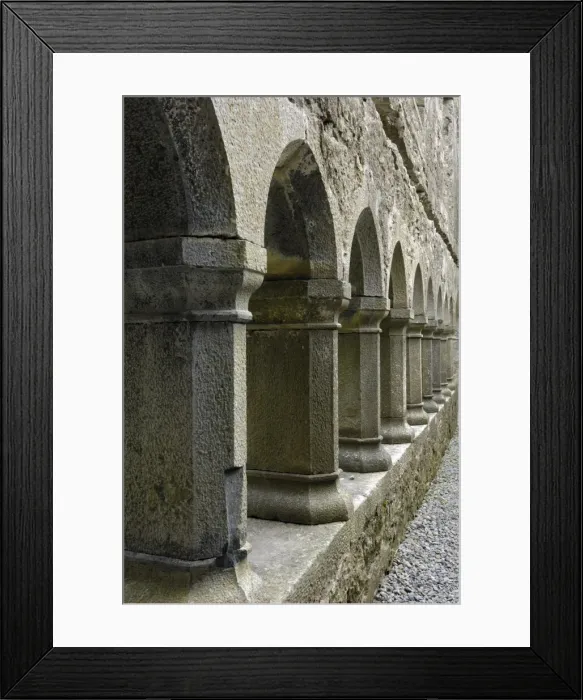 Framed Print : Cloister, Ross Errilly Franciscan Friary Framed Print : Cloister, Ross Errilly Franciscan Friary