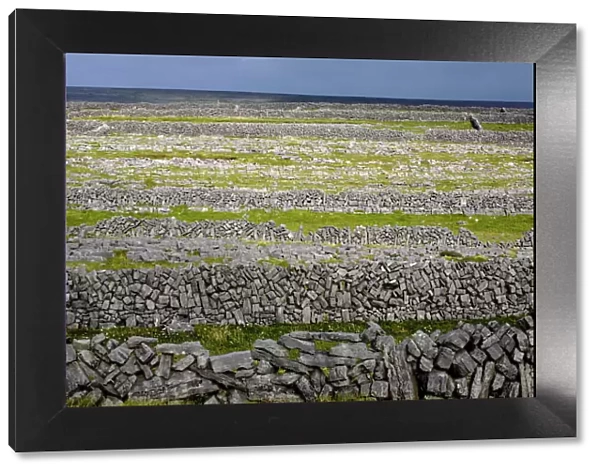 Stone walls on Inis Mor (Inishmore)