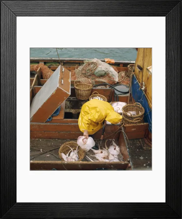 Framed Print : Scrabster, Caithness Framed Print : Scrabster, Caithness