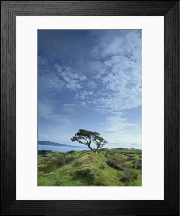 Framed Print : Loch Craignish from Craignish Point Framed Print : Loch Craignish from Craignish Point