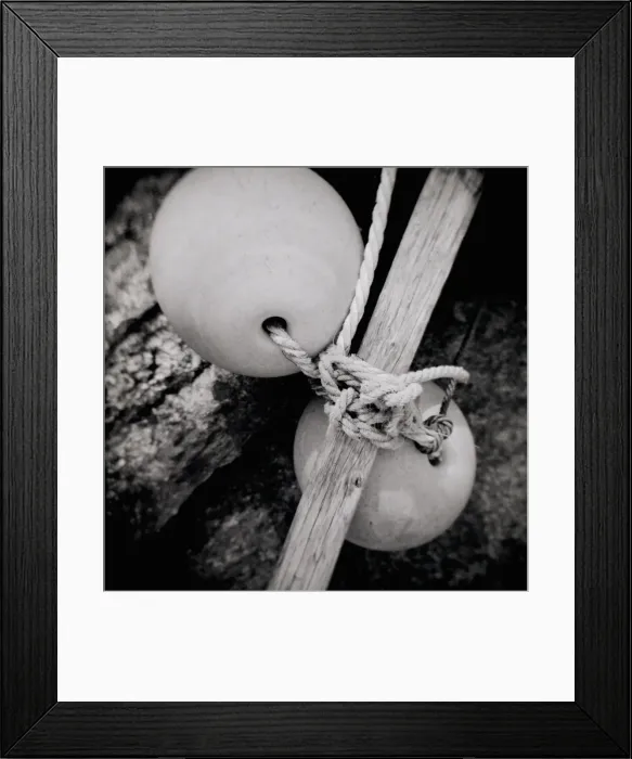 Framed Print : Image taken with a Holga medium format 120 film toy