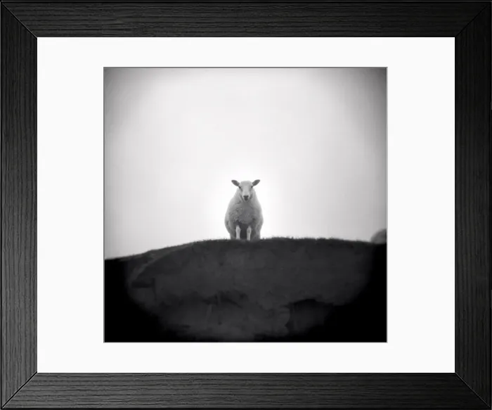 Framed Print : Image taken with a Holga medium format 120 film toy Framed Print : Image taken with a Holga medium format 120 film toy