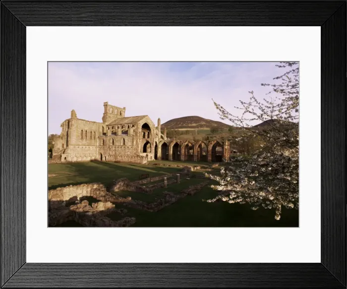 Framed Print : Melrose Abbey Framed Print : Melrose Abbey