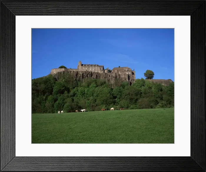 Framed Print : Stirling Castle Framed Print : Stirling Castle