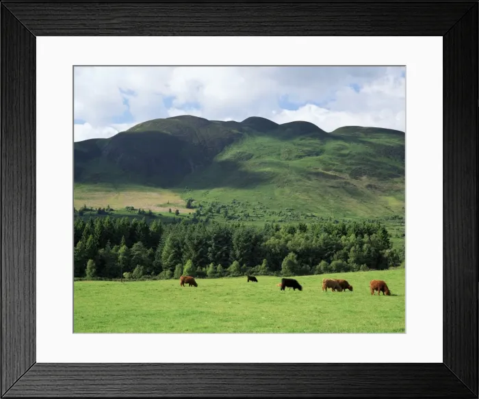 Framed Print : Conic Hill Framed Print : Conic Hill