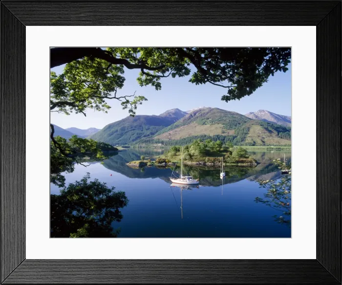 Framed Print : Moored yachts in Bishops Bay Framed Print : Moored yachts in Bishops Bay