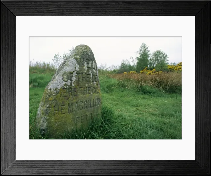 Framed Print : Battle site Framed Print : Battle site