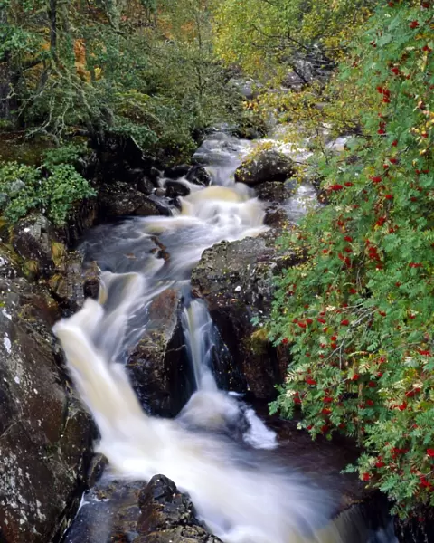Stream, Glen Affric