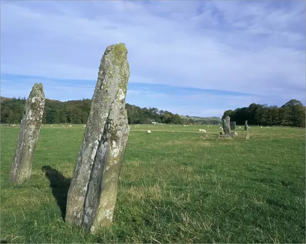 Standing stones in Lady Glassary wood