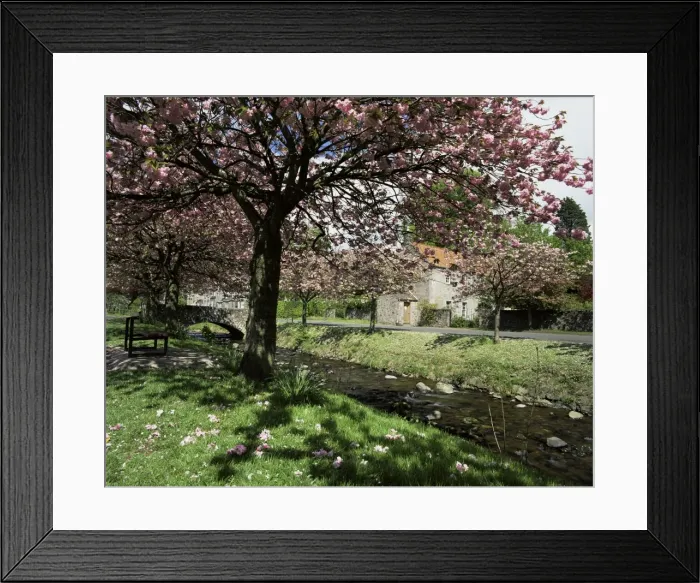 Framed Print : Dollar in spring Framed Print : Dollar in spring