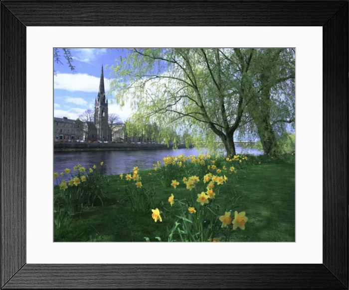 Framed Print : City in spring Framed Print : City in spring