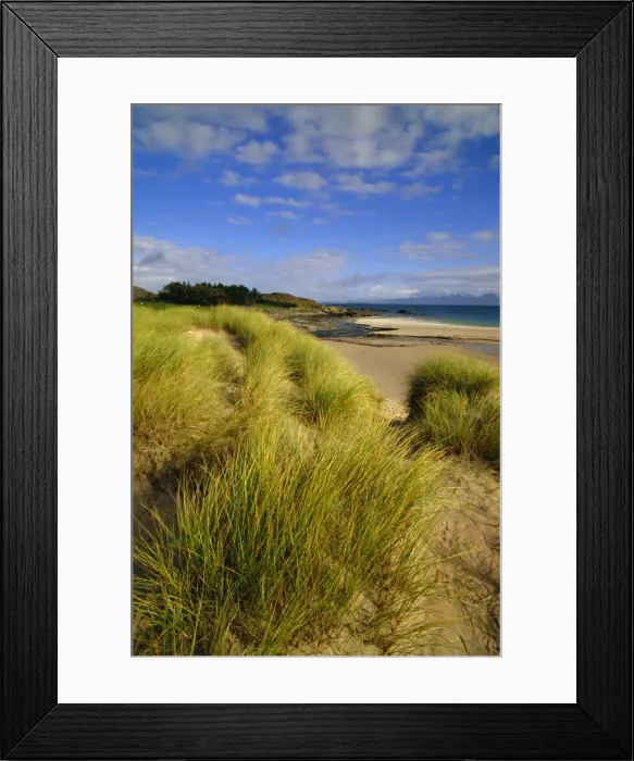 Framed Print : Dunes and grasses Framed Print : Dunes and grasses