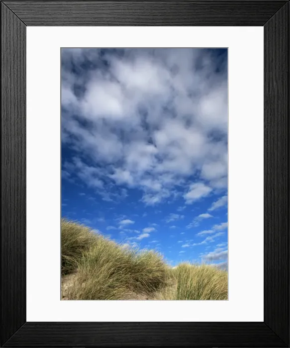 Framed Print : Dunes and grasses Framed Print : Dunes and grasses