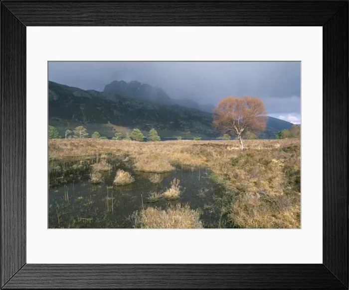 Framed Print : Loch Maree Framed Print : Loch Maree
