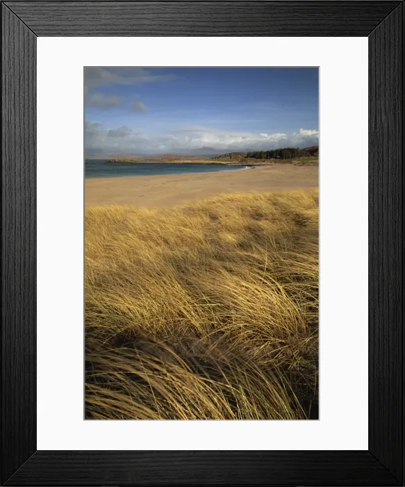 Framed Print : Grass and sand dunes on the coast Framed Print : Grass and sand dunes on the coast