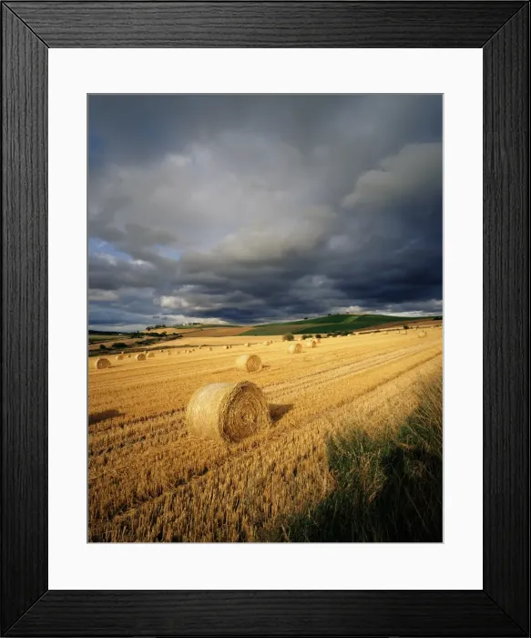 Framed Print : Hay bales, near Avoch Framed Print : Hay bales, near Avoch